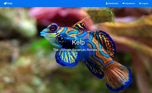 Aquarium Review Site